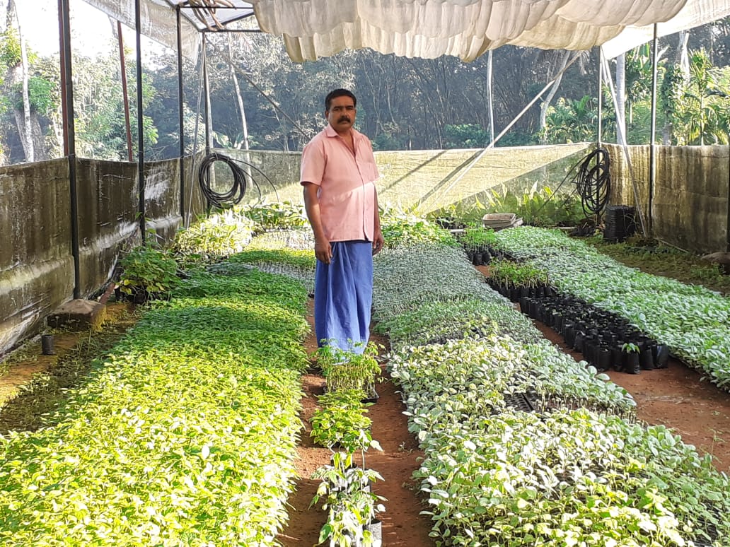 Kerala NRI Turns Farmer 