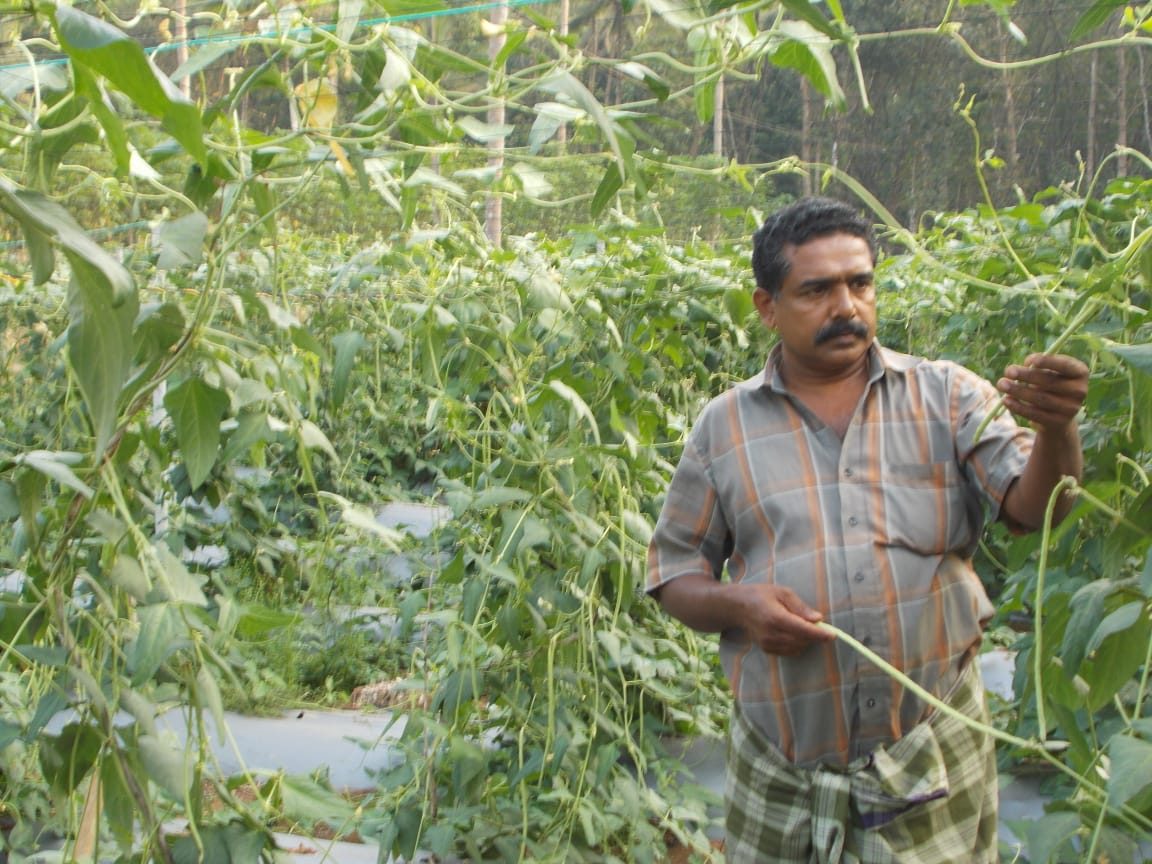 Kerala NRI turns farmer 