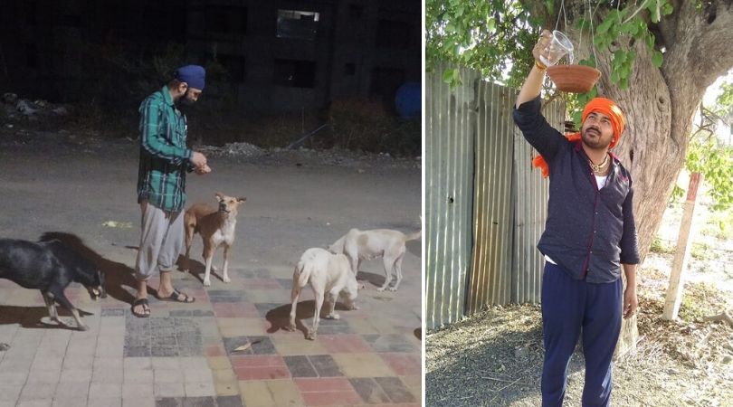 Heroes Helping Stray Animals 