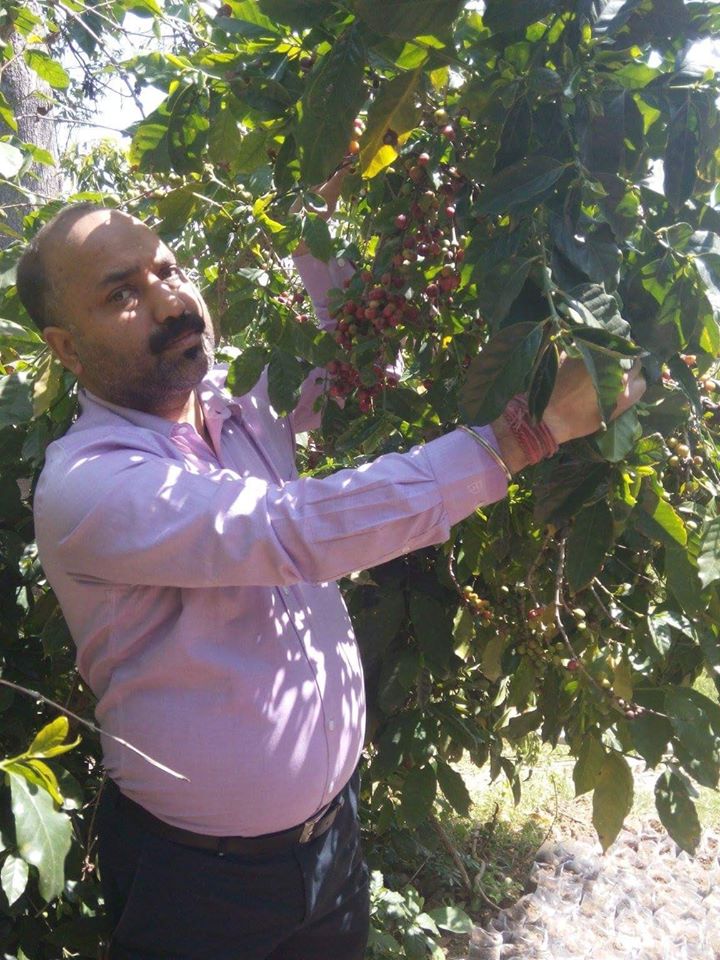 Himachal Man is distributing free coffee saplings