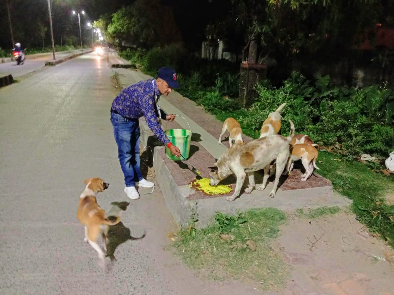 bihar man serves stray animals