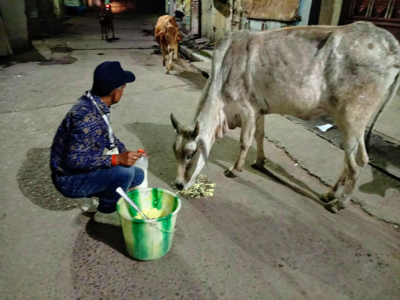 bihar man serves stray animals