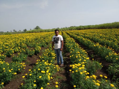 Maharashtra Farmer