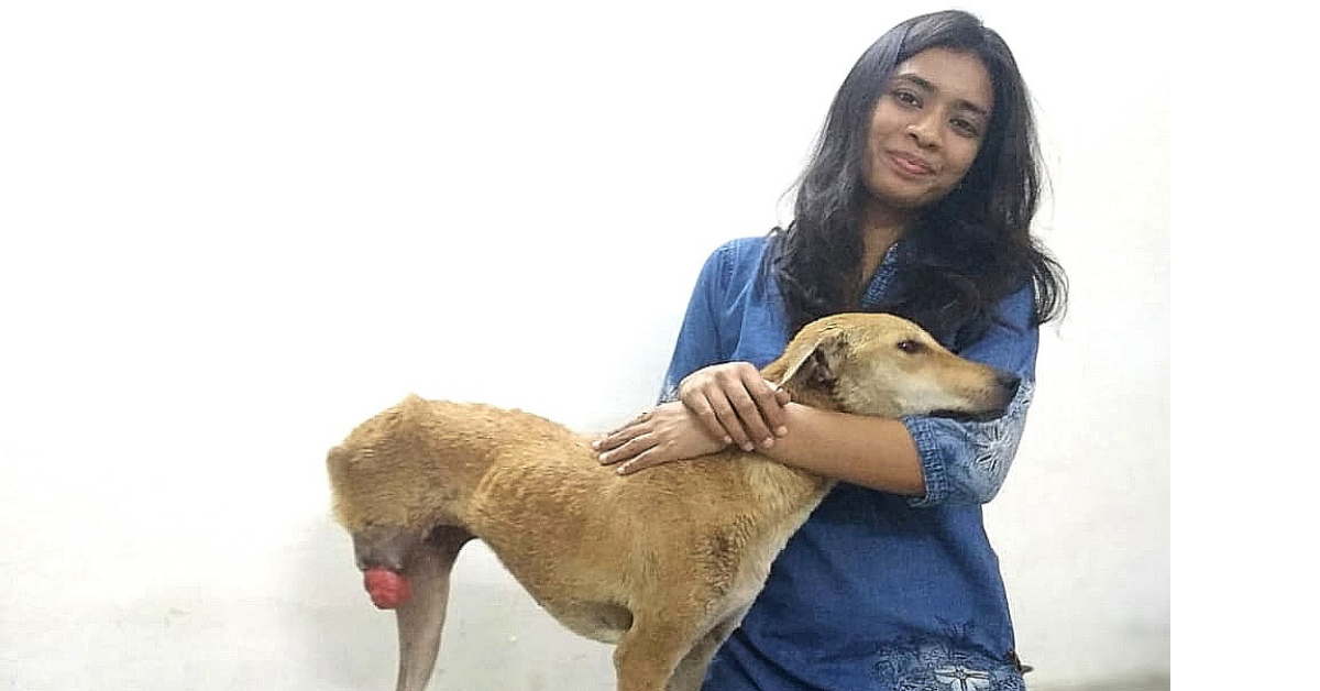 Dog Lover Kasturi Balal From Raipur, Chattisgarh Rescues Street Dogs