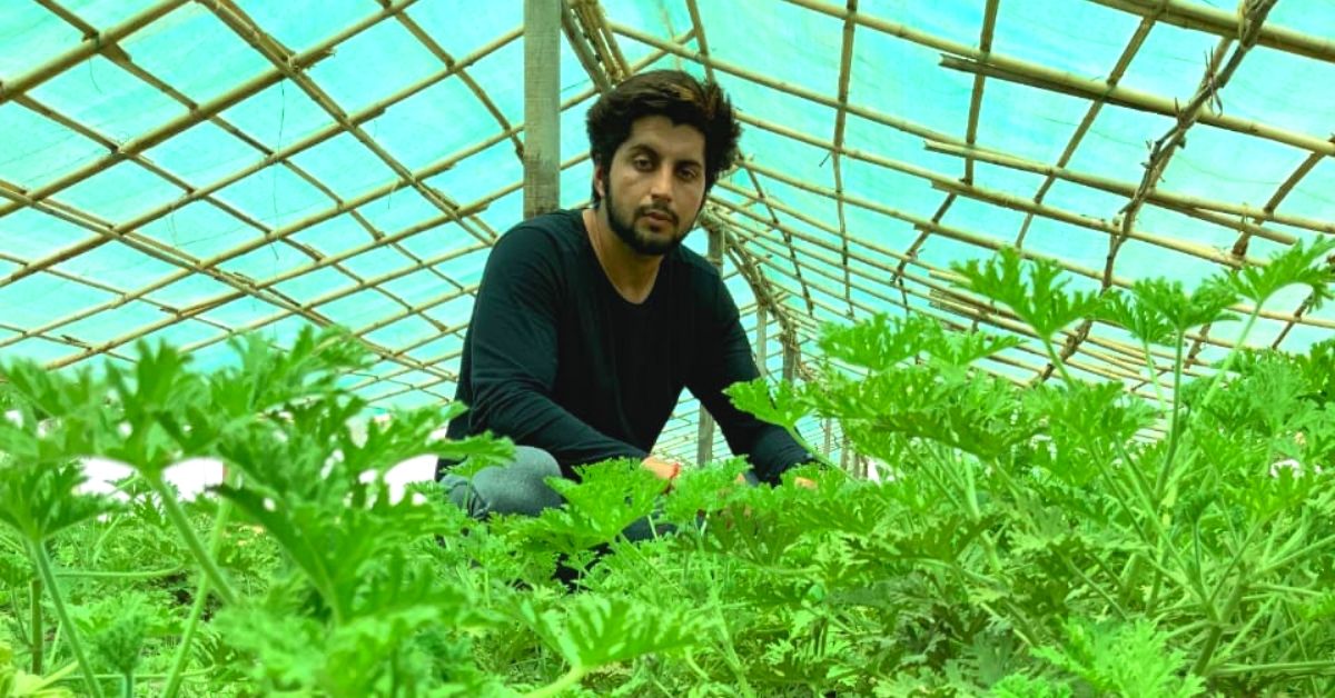 Delhi Engineer Organic Farming
