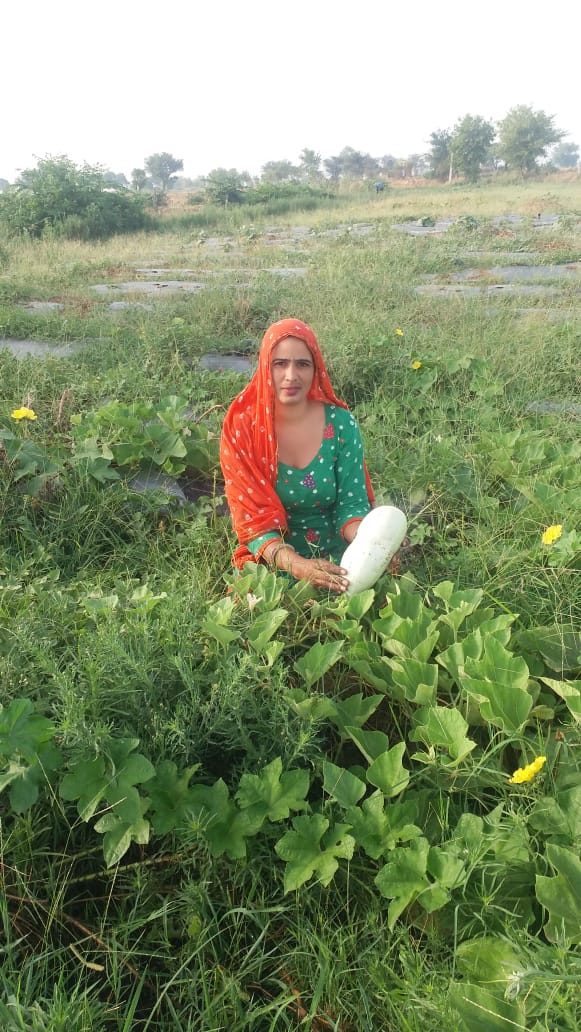 Haryana Woman Organic Farmer
