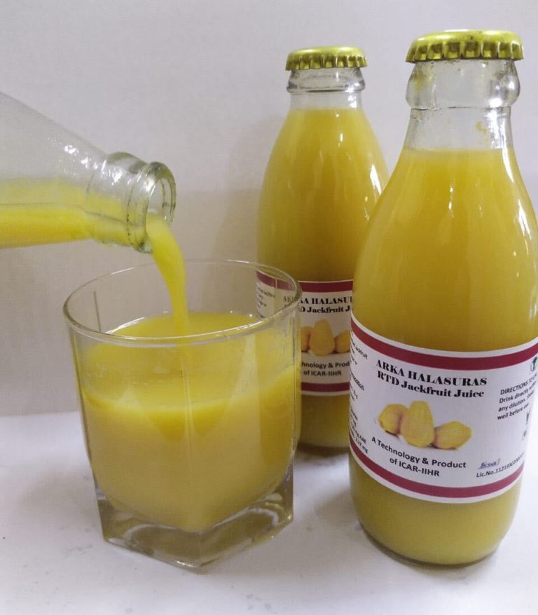 scientists Research Instant Jackfruit Juice