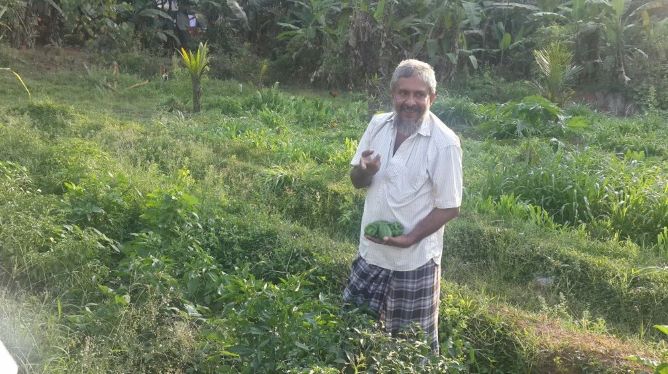 Kerala farmer self sustaining 