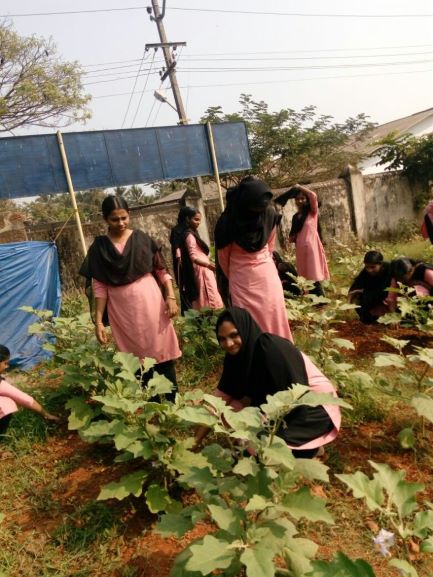 Kerala farmer self sustaining 