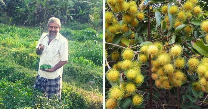 Kerala farmer self sustaining