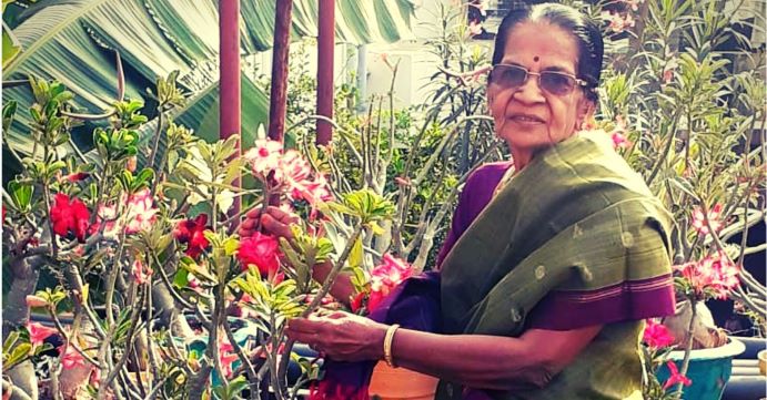 Chennai Amma Urban Gardener