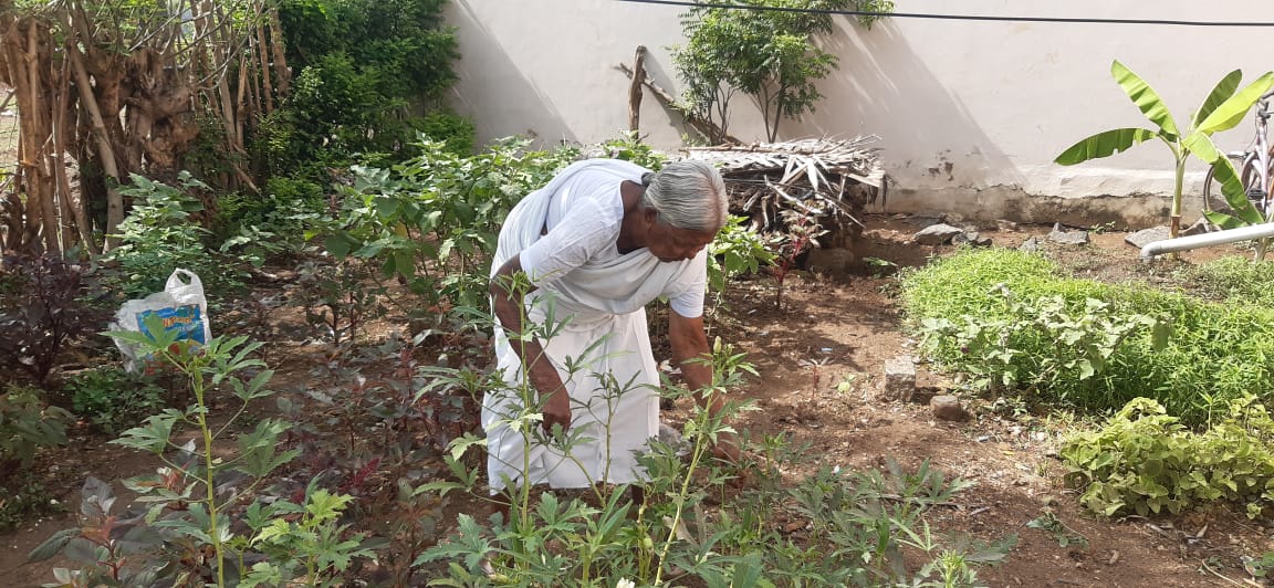 Tamilnadu Vegetable Grandma Nanjammal