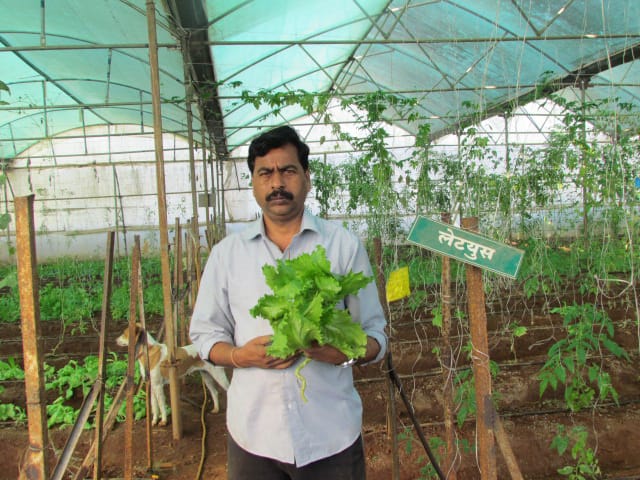 Maharashtra Farmer 