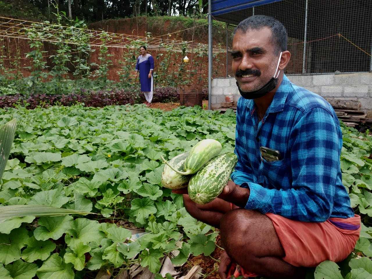 Kerala Neighbours Growing Vegetables