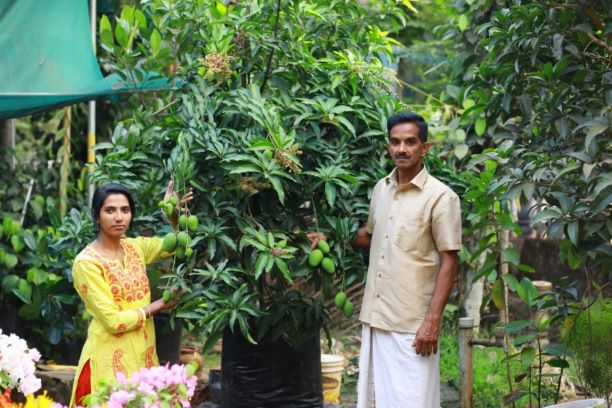 Kerala Couple