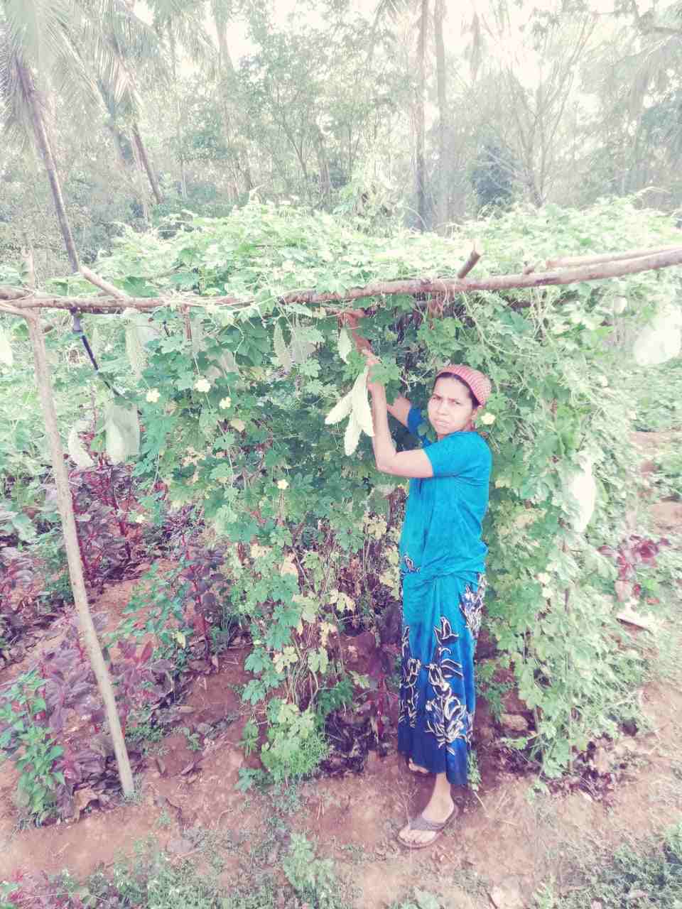 Kerala Homemaker Turned Entrepreneur 