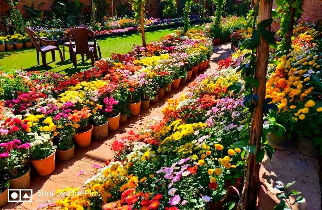 Create Fragrant Garden