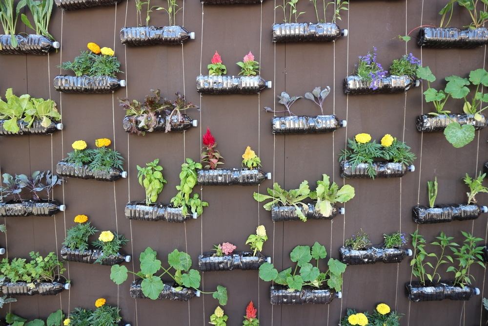 DIY Vertical Garden