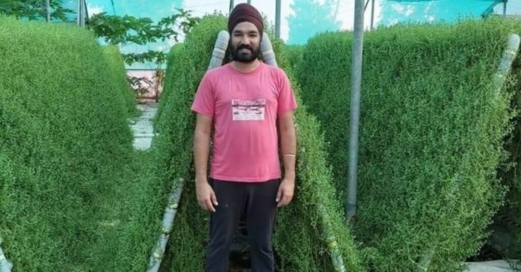 punjab farmer