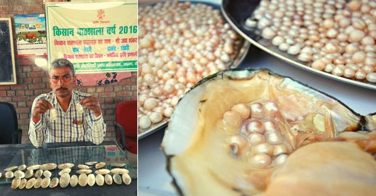 Bihar Man pearl farming