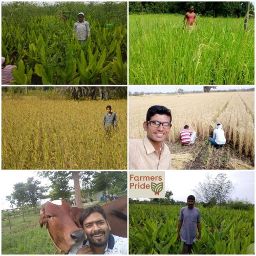 Sandeep Farmer's pride