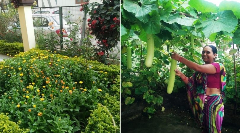 Civil Engineer Growing Vegetables