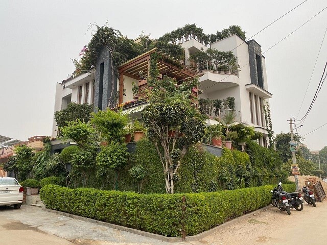 Bonsai garden House In Jaipur
