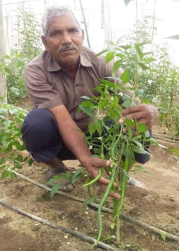 Ex-Army Man Turns Organic Farmer