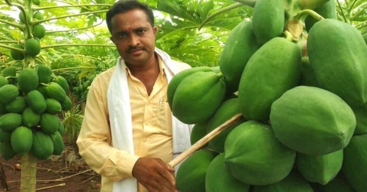 Organic Farmer Earns Lakhs
