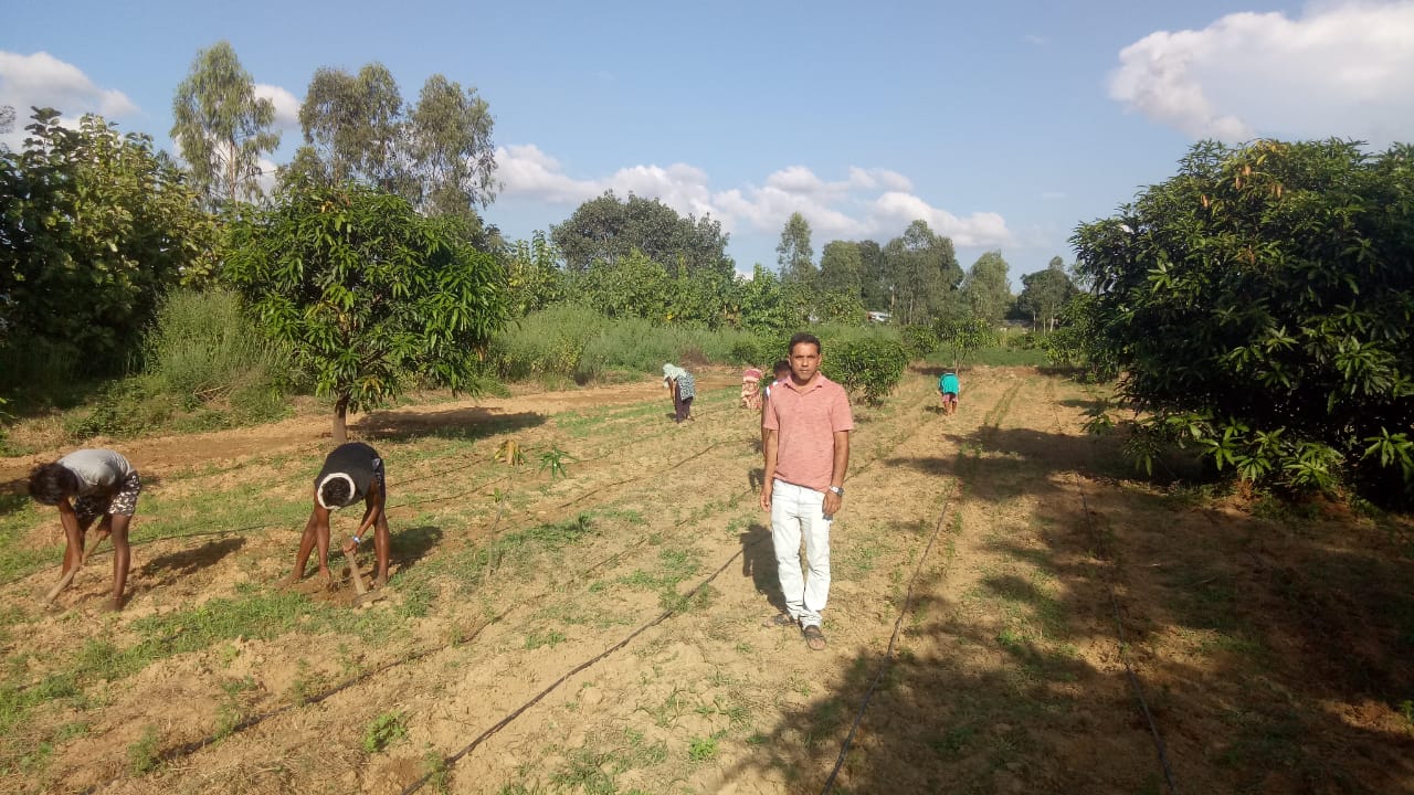 Odisha Organic Farmer