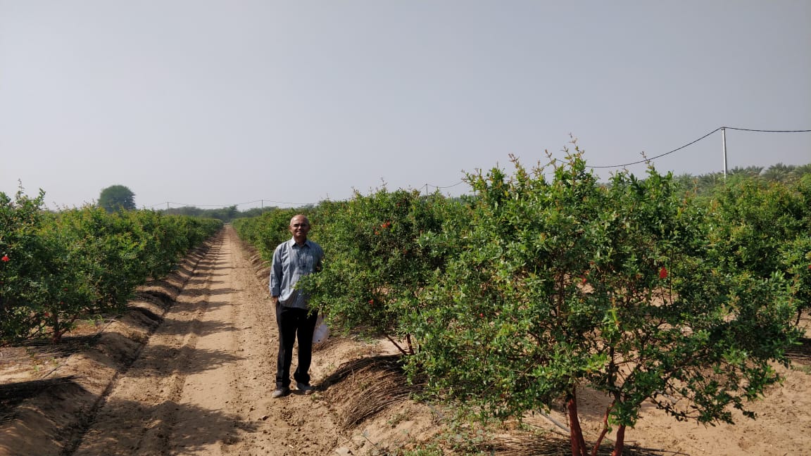 Gujarat Farmer