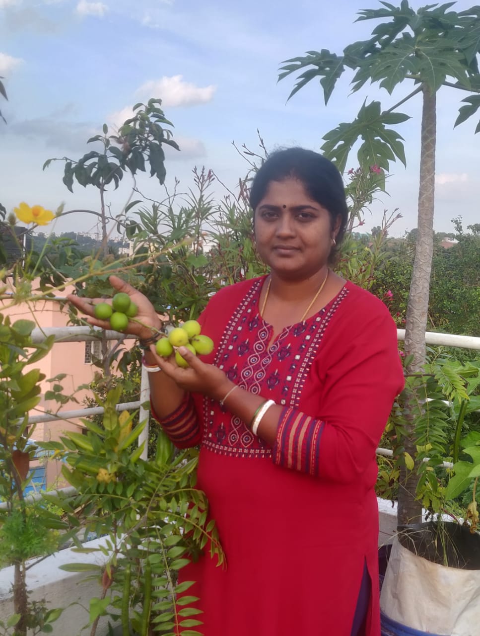 Bengaluru Lady Growing Bananas