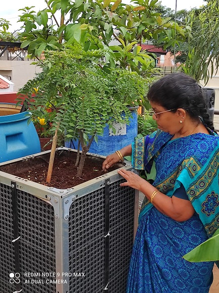 Terrace Gardening in Bengaluru