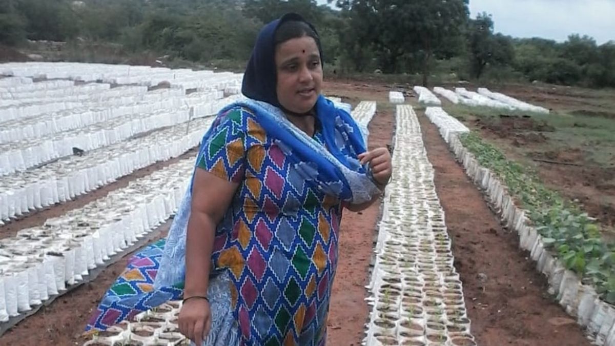 Karnataka Woman Farmer