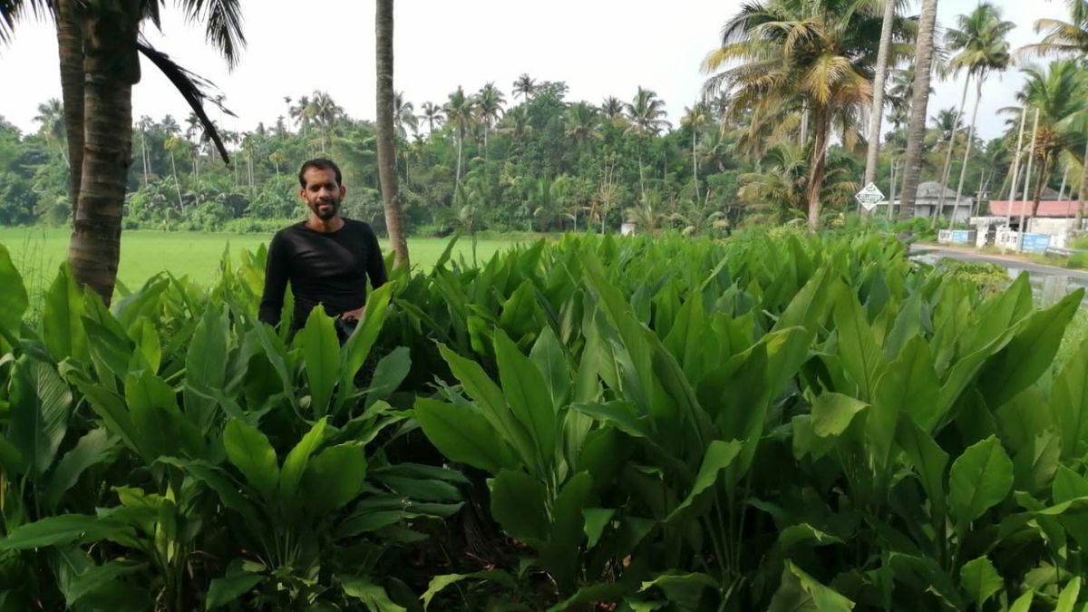 Kerala Organic Farmer