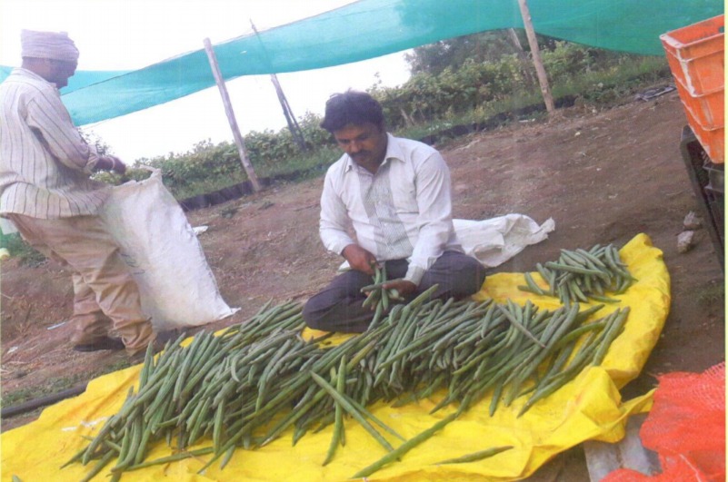 Karnataka Farmer Success Story 