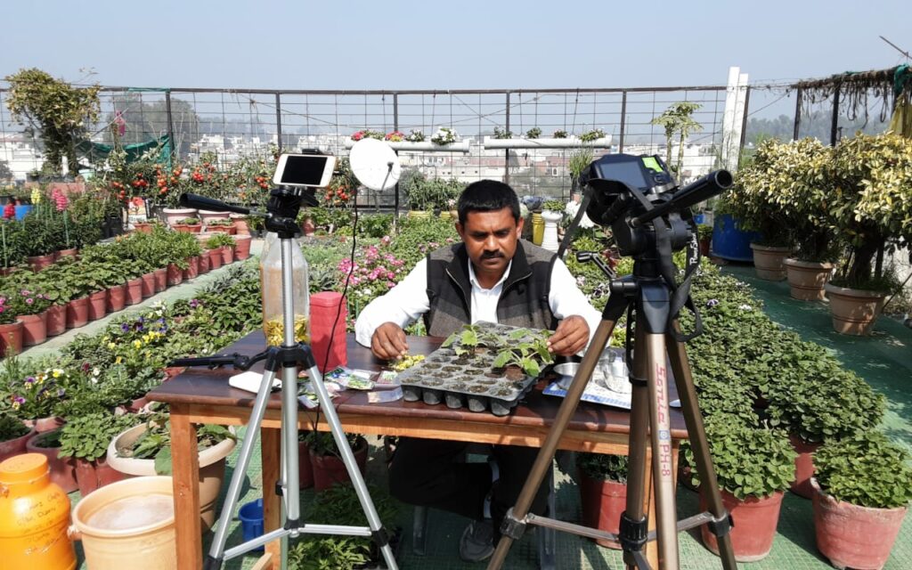 Haryana Terrace Gardener