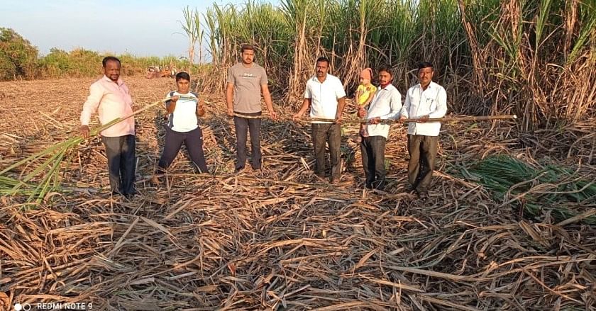 Sugarcane Farmer