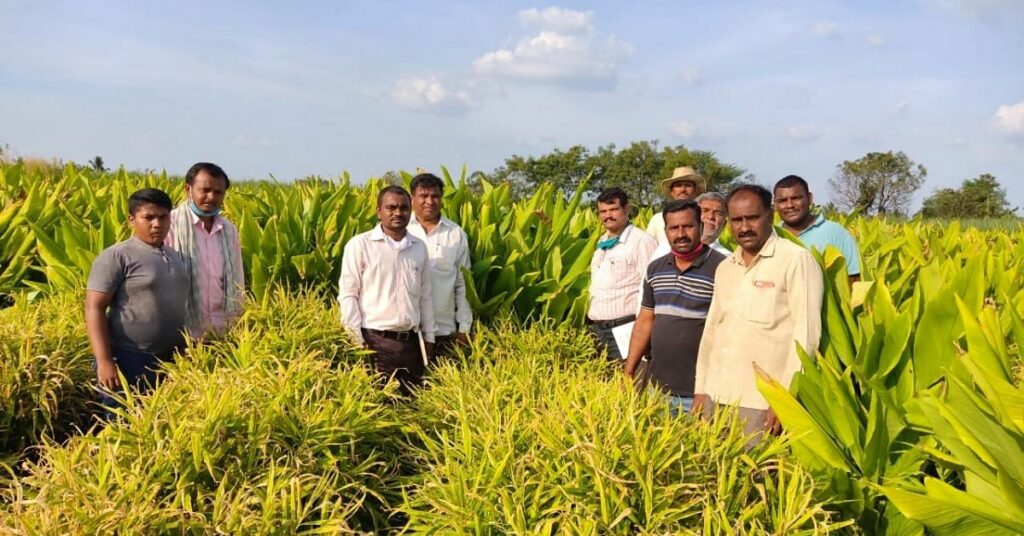 Maharashtra Sugarcane Farmer