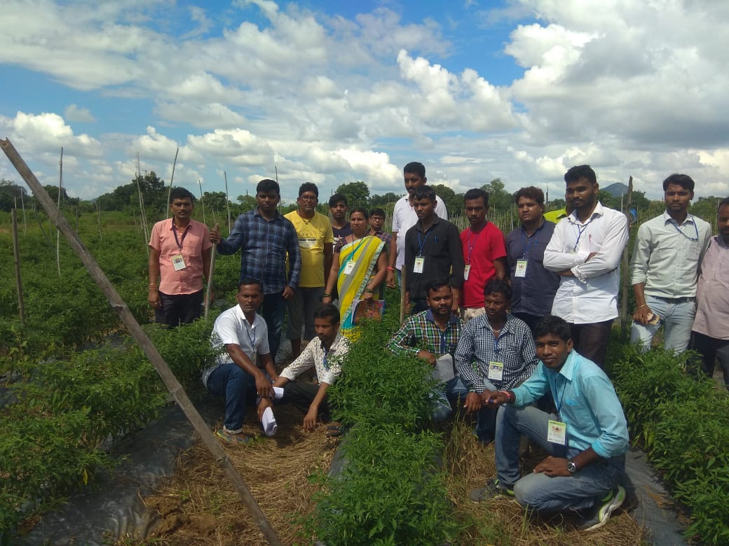 Odisha Farmer Success Story