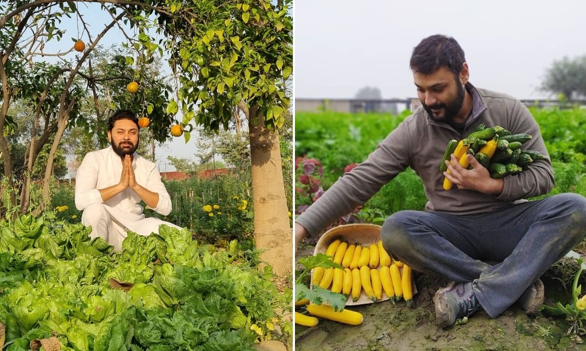Organic Farming Success Story