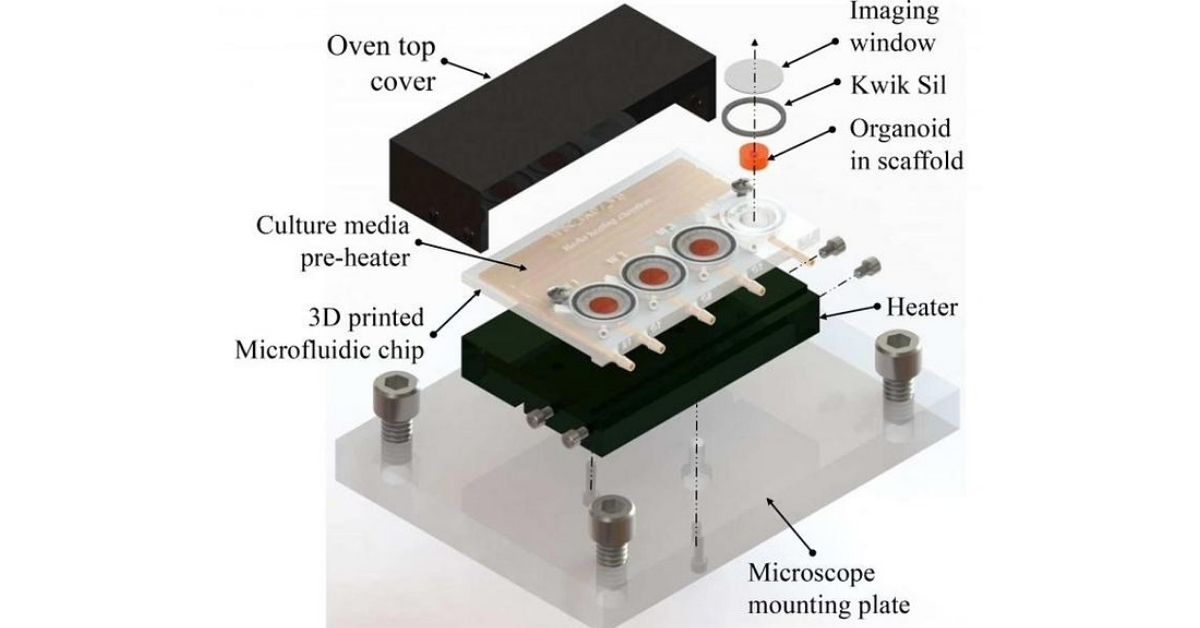 Now brain disorder will be easier to detect, cheaper invention of 28-year-old Indian scientist 2 Low Cost invention