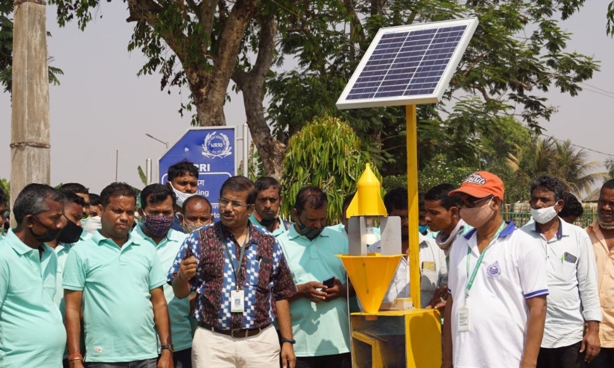 NRRI Scientists Solar Innovation