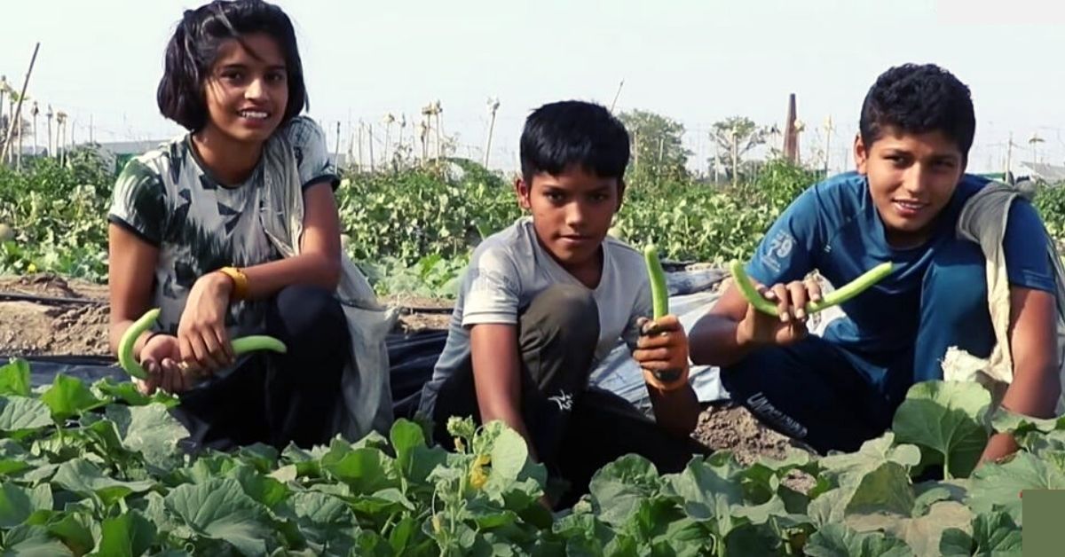 Kids Helping in Farming