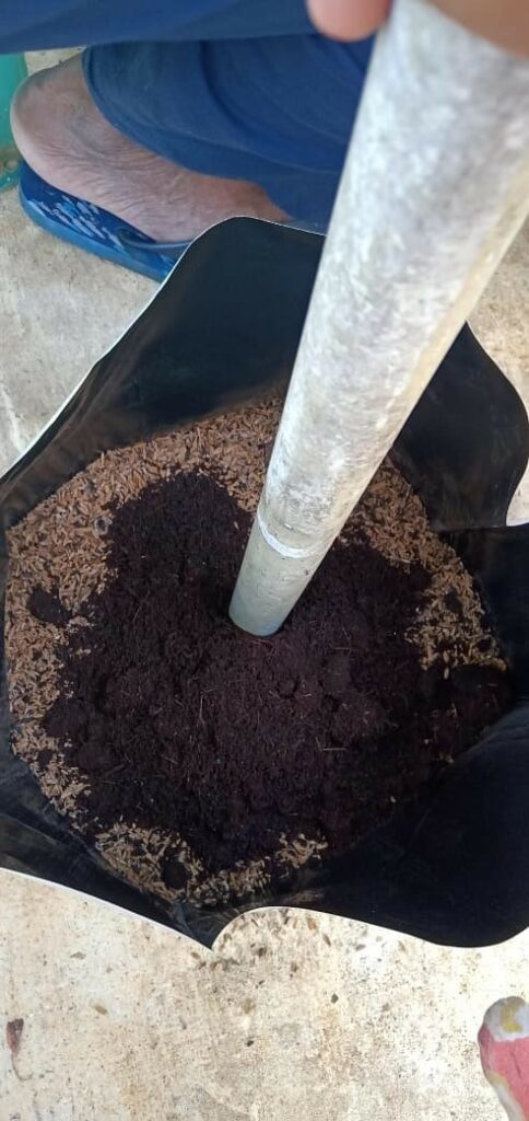 Soil less potting mix