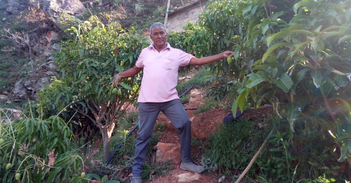 Uttarakhand Man Planted Trees