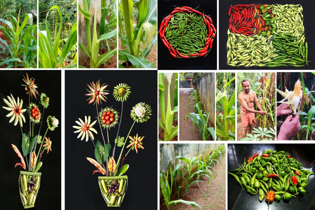 Kerala Photographer Turned Gardener