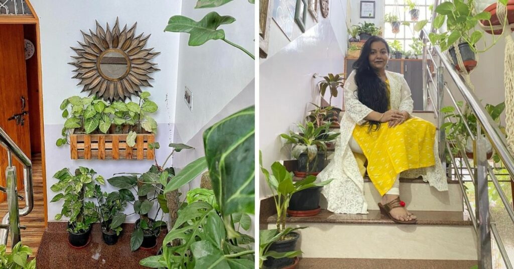 ankita rai with her indoor plants home decor