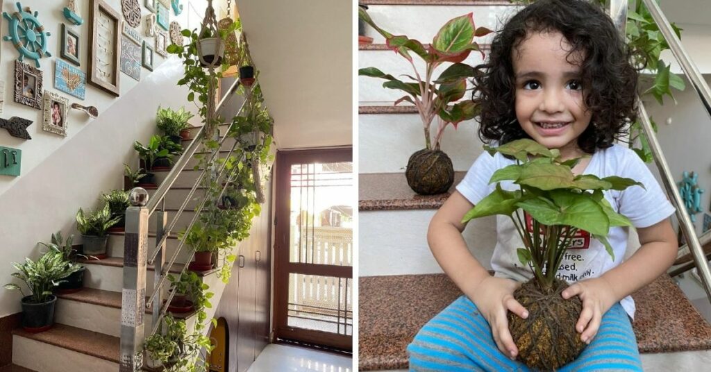 kid holding syngonium plant on staircase
