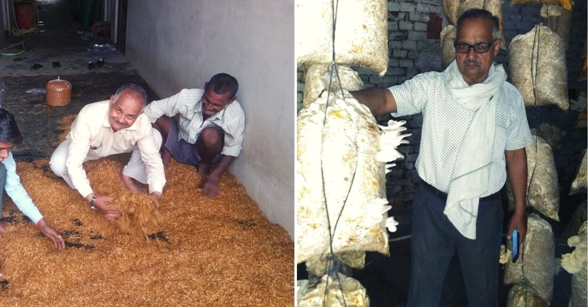 Mushroom Farming In Uttar Pradesh